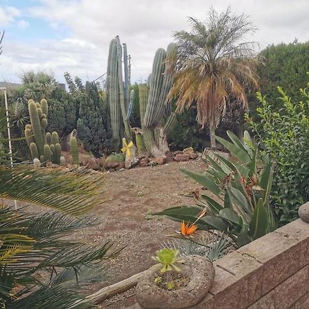 Los Cactus 圣克鲁斯-德特内里费 外观 照片