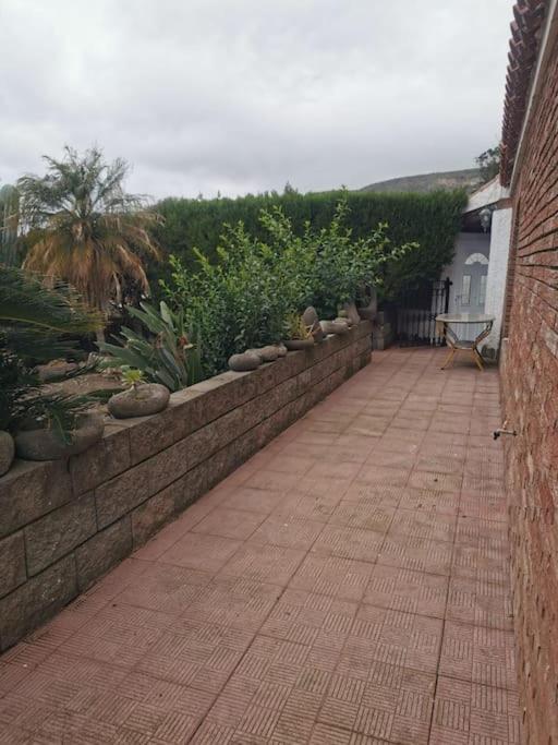 Los Cactus 圣克鲁斯-德特内里费 外观 照片
