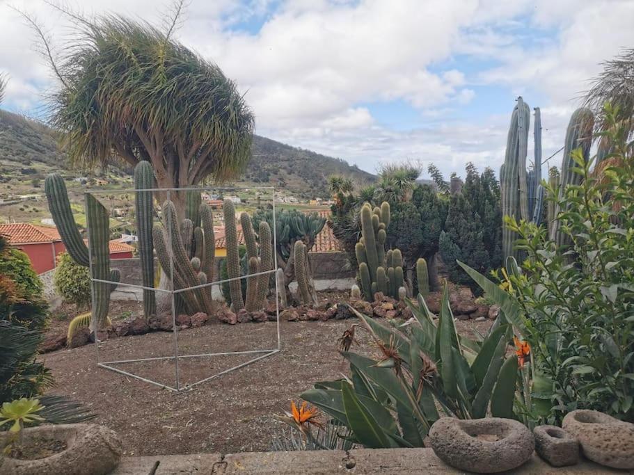 Los Cactus 圣克鲁斯-德特内里费 外观 照片
